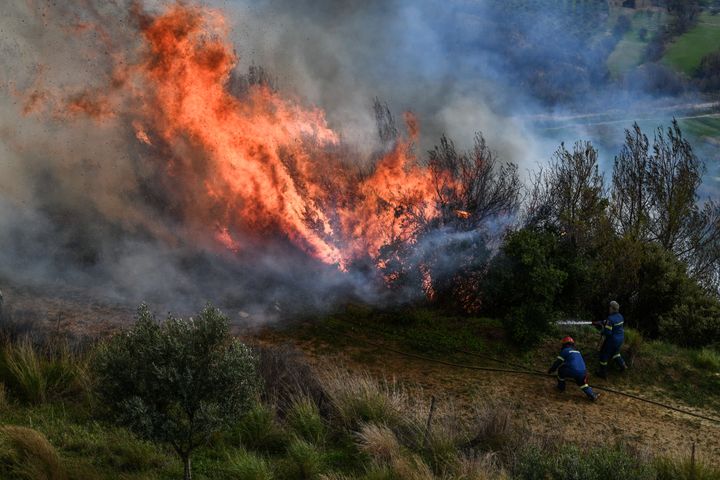 Μεσολόγγι: Φωτιά σε δασική έκταση στο Πλατυγιάλι Αστακού