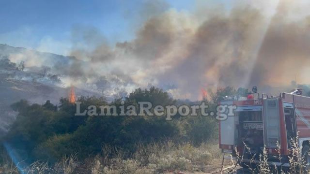 Λαμία: Φωτιά στην περιοχή του Προφήτη Ηλία