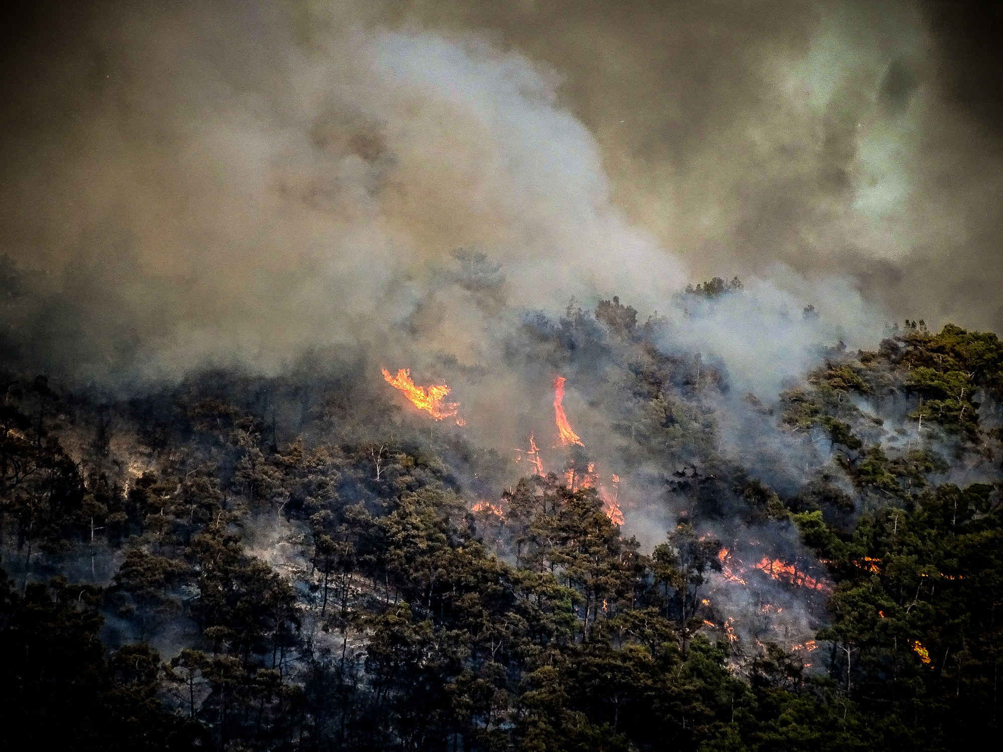 Four major wildfire fronts in Greece on Sun. evening; Rhodes blaze burns for sixth day