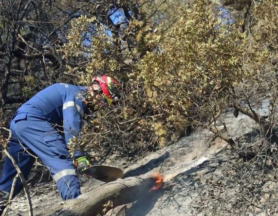 Φωτιές: Επί ποδός οι ένοπλες δυνάμεις το Σαββατοκύριακο