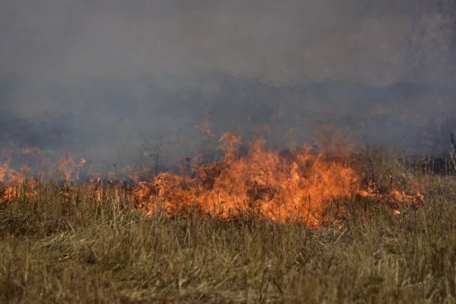 Πέραμα: Φωτιά σε χαμηλή βλάστηση