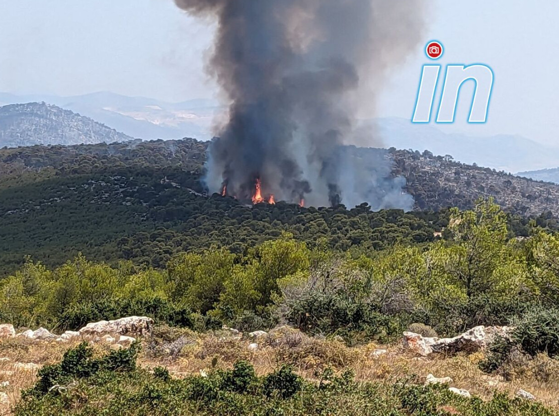 Φωτιά στη Δυτική Αττική: Μεγάλη αναζωπύρωση στη θέση Καραούλι