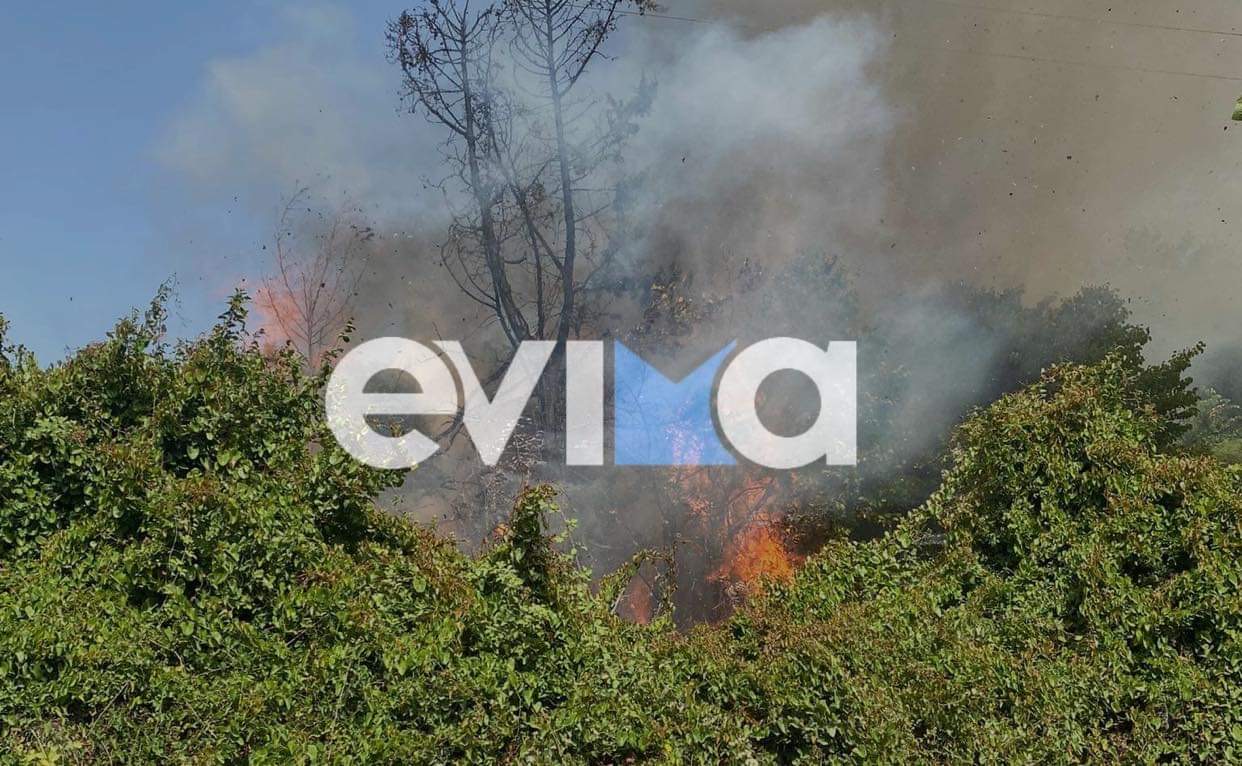 Φωτιά στην Εύβοια: Νέος συναγερμός στην Πυροσβεστική για την Κύμη – Κοντά σε χωριό οι φλόγες