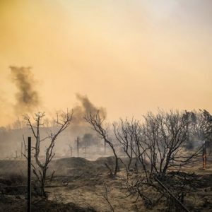 Πυρκαγιές: Περισσότερα από 1.200.000 στρέμματα έχουν καεί στη χώρα μας την τρέχουσα αντιπυρική περίοδο