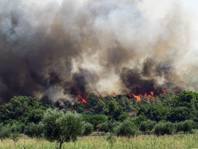 ΕΛΓΑ: Σε Ρόδο και Θεσσαλία οι πρώτες καταγραφές ζημιών από τις φωτιές – Πότε θα αποζημιωθούν οι αγροτοκτηνοτρόφοι