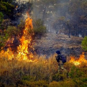Φωτιά στην Αχαΐα: Εκκενώθηκαν προληπτικά εργοστάσια στην ΒΙΠΕ Πατρών