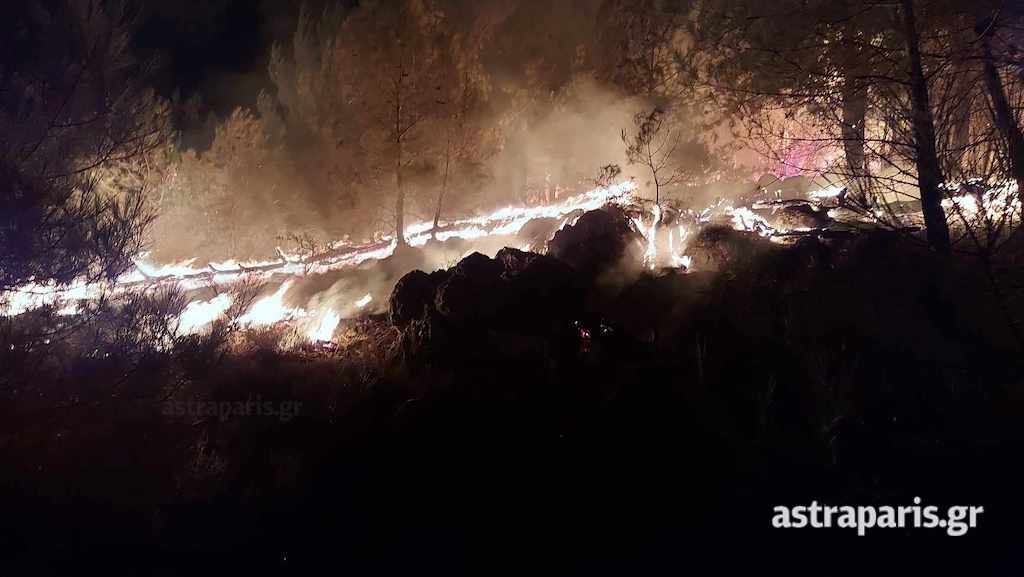 Φωτιά σε δασική έκταση στη Χίο – Δείτε φωτογραφίες και βίντεο