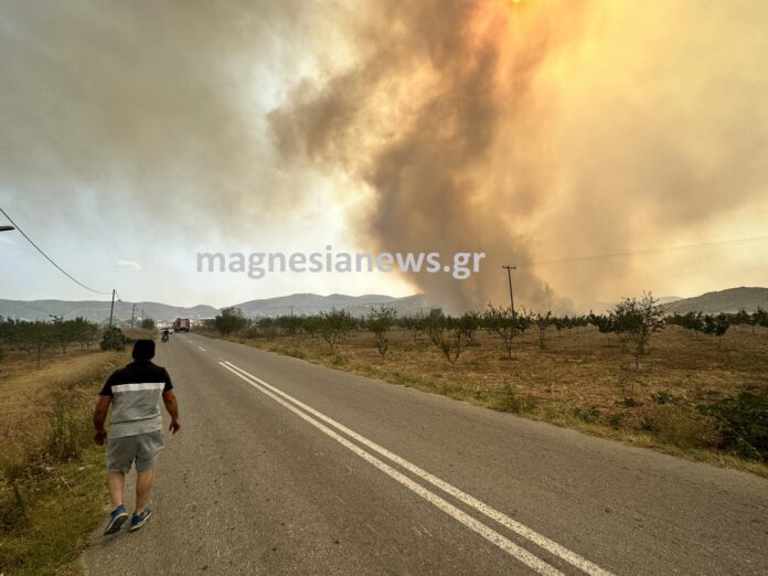 Φωτιά στη Μαγνησία: Αναφορές ότι αγνοείται 45χρονος βοσκός στον Άγιο Γεώργιο