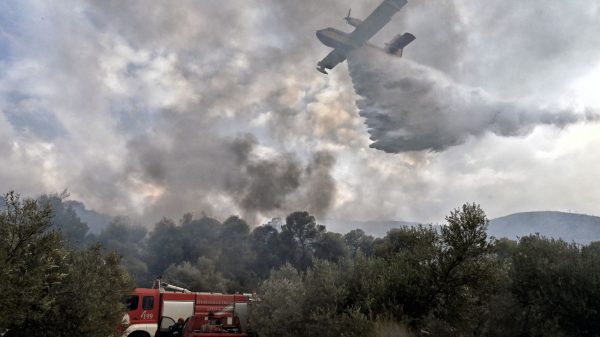 Πυρκαγιές: Φωτιές στoν Τύρναβο Λάρισας και τη Λακωνία