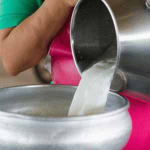 Γάλα: Εκτοξεύτηκε η τιμή του αγελαδινού – Πάνω από 20% σε έναν χρόνο η αύξηση