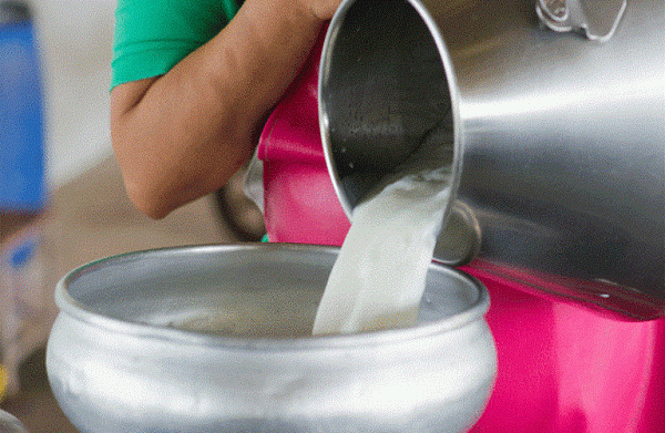 Γάλα: Εκτοξεύτηκε η τιμή του αγελαδινού – Πάνω από 20% σε έναν χρόνο η αύξηση