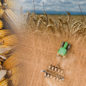 FAO: Σε υψηλό διετίας εκτινάχθηκαν οι τιμές των τροφίμων