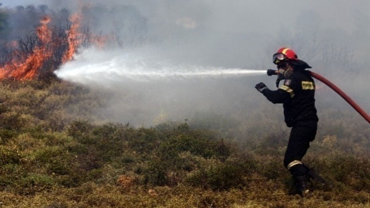 Βοιωτία: Οριοθετήθηκε η πυρκαγιά στην Υλίκη