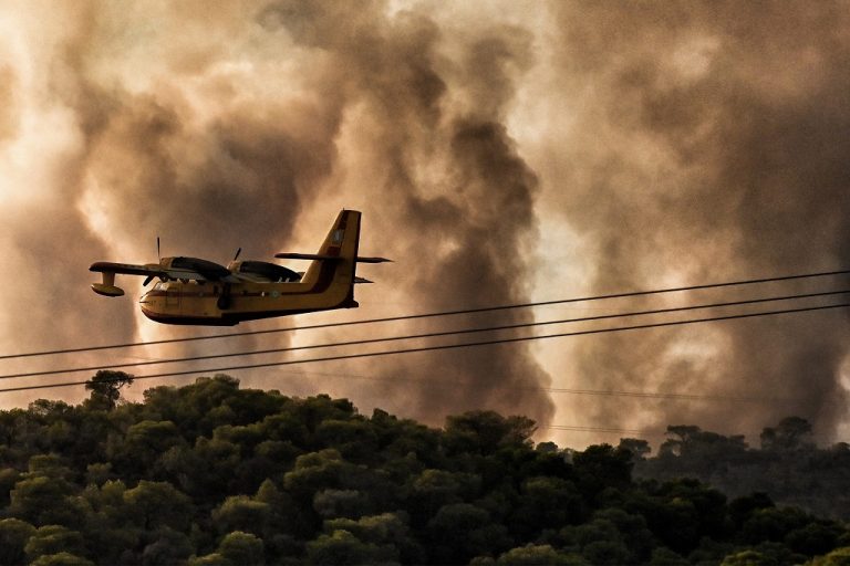 Φωτιές: Τα υψηλότερα επίπεδα καμένων εκτάσεων από δασικές πυρκαγιές των τελευταίων 13 ετών