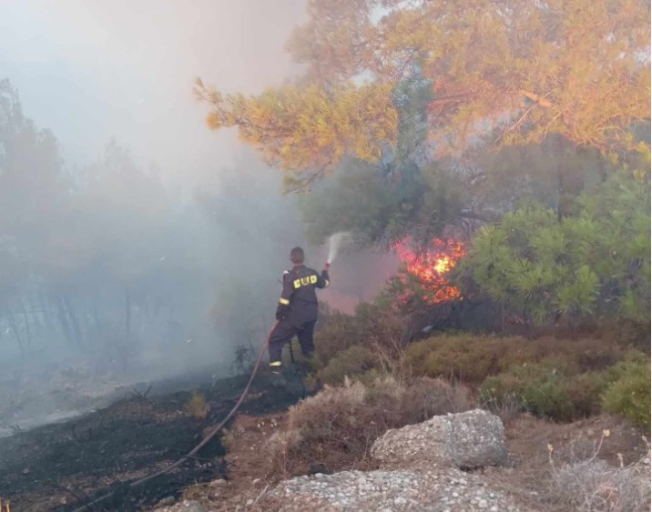 Ρόδος: Μάχη με τις αναζωπυρώσεις δίνουν οι πυροσβεστικές δυνάμεις στο νησί