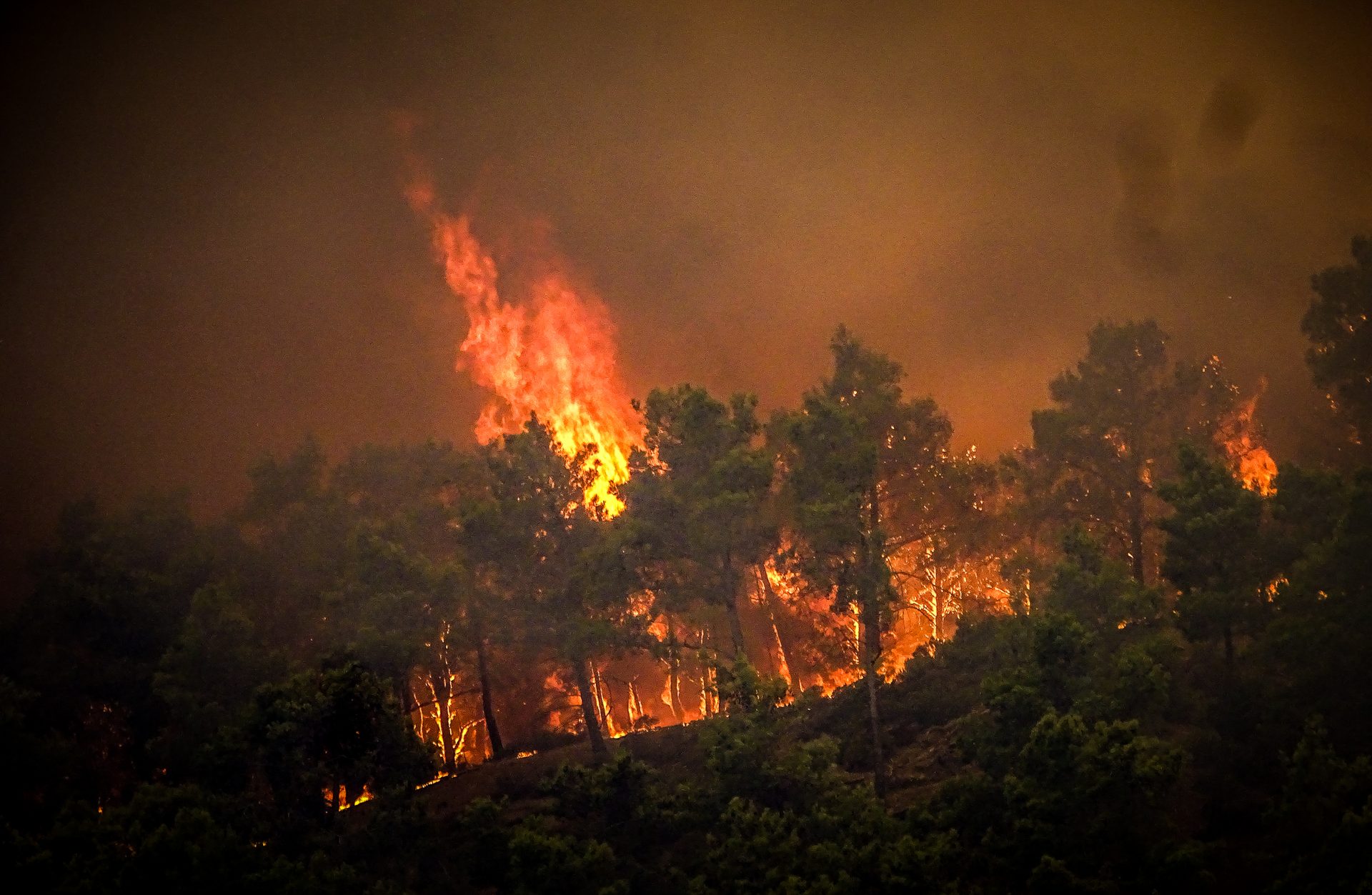 Φωτιά: Πύρινος εφιάλτης σε Ρόδο, Αίγιο, Κέρκυρα, Κάρυστο – Μαζικές εκκενώσεις οικισμών