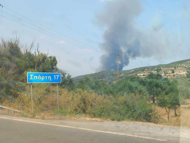 Φωτιές: Μεγάλη πυρκαγιά σε δασική έκταση στη Σπάρτη