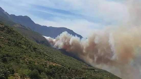 Συρία: Δασικές πυρκαγιές εν μέσω καύσωνα με 40 βαθμούς Κελσίου