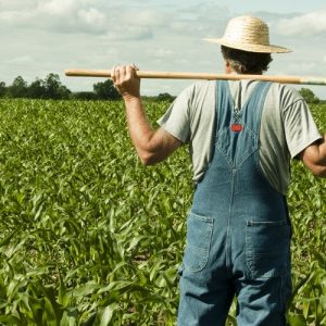 Λευτέρης Αυγενάκης: Πράσινο φως για τα Τμήματα Αγροτών στα Επιμελητήρια