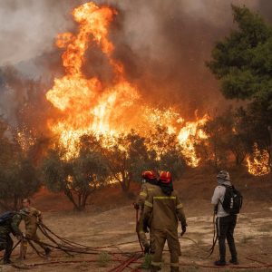 Copernicus: Στον Εβρο η πιο καταστροφική φωτιά στην Ευρώπη εδώ και χρόνια