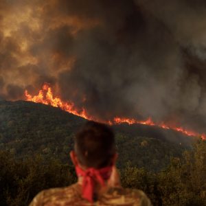 Φωτιές: «Ανεπαρκή τα μέτρα προετοιμασίας για την αντιπυρική περίοδο» – Το άρθρο «κόλαφος» των New York Times