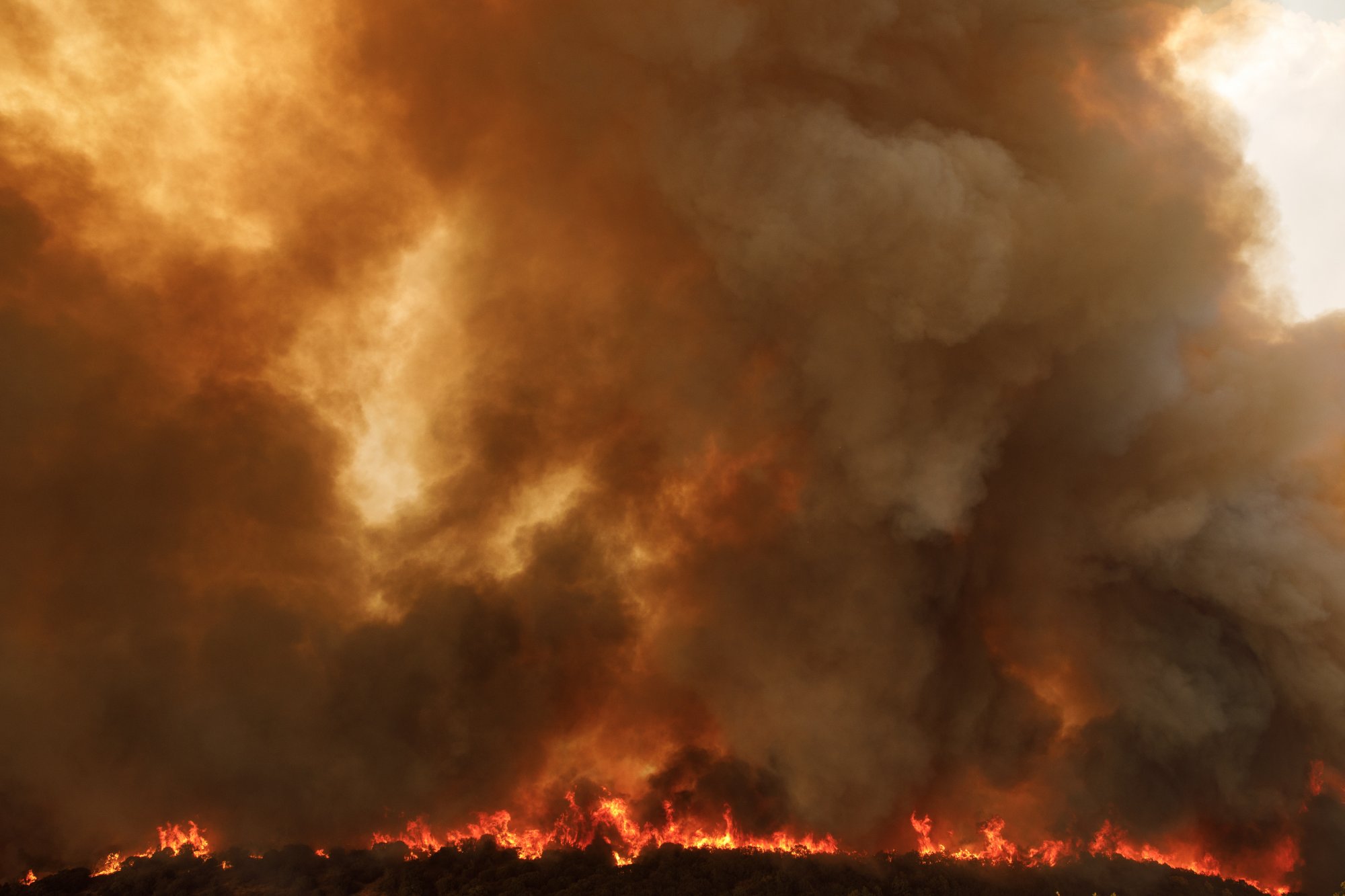 Φωτιά στον Έβρο: Επαγγέλματα απειλούνται με εξαφάνιση – Τεράστια οικολογική καταστροφή