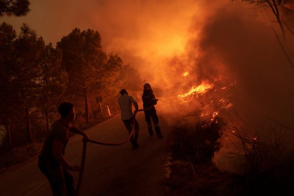 Φωτιές: Οι άμεσες και οι μακροχρόνιες επιπτώσεις στην ελληνική οικονομία