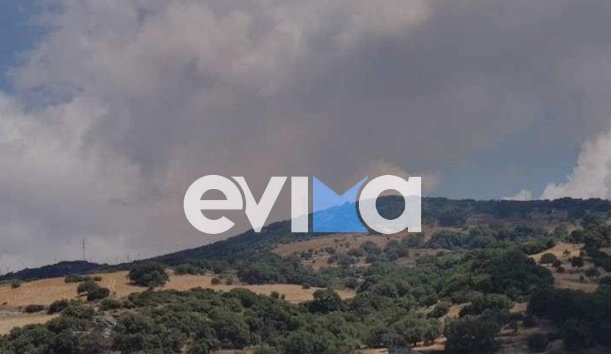 Φωτιές: Συναγερμός για μεγάλη πυρκαγιά στην Κάρυστο – Σηκώθηκαν εναέρια μέσα