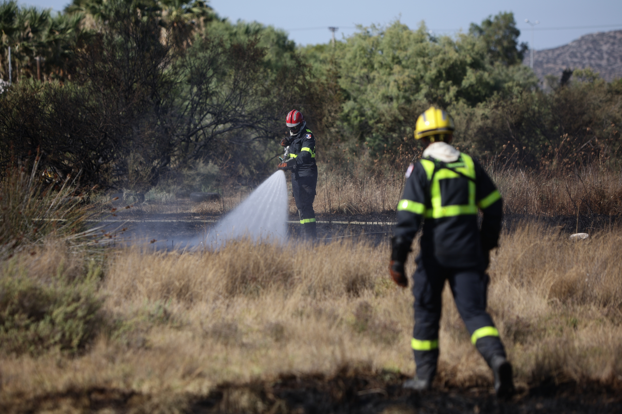 Πυρκαγιές: Ποιες περιοχές βρίσκονται σε κίνδυνο