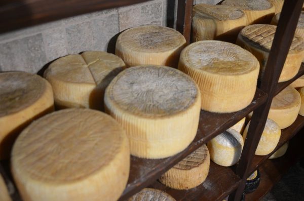 Ιταλία: Ιδιοκτήτης τυροκομείου καταπλακώθηκε από 15.000 «κεφάλια» τυρί