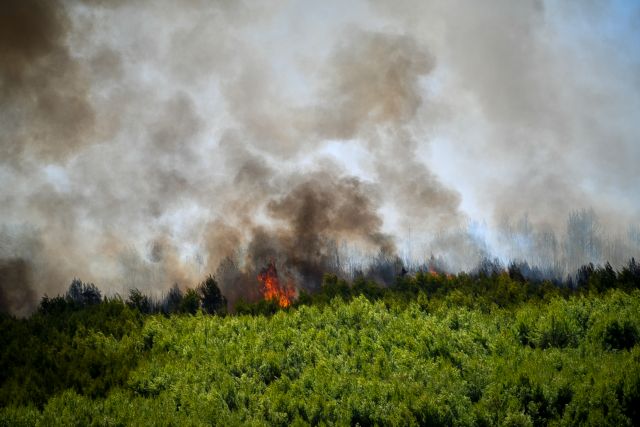 Φωτιά στην Κρήτη κοντά στο δάσος της Κέρης
