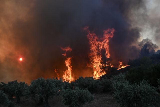 Το συγκλονιστικό σκίτσο του Αρκά για τις φωτιές που καίνε τη χώρα