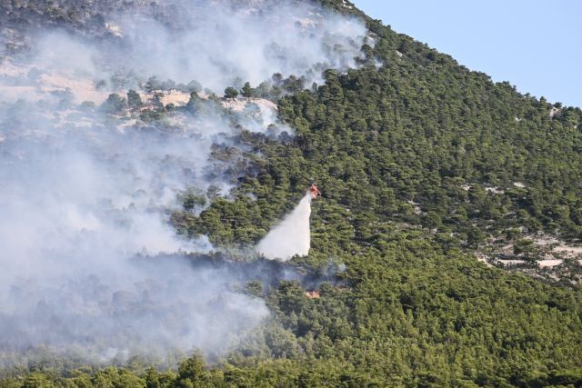 Φωτιές: Η εικόνα σε Πάρνηθα, Εβρο, Βοιωτία – Πού έχει αναζωπυρώσεις