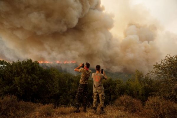 Φωτιές στον Έβρο: Κυβερνητικό κλιμάκιο στην περιοχή – Από σήμερα οι αιτήσεις για αποζημιώσεις