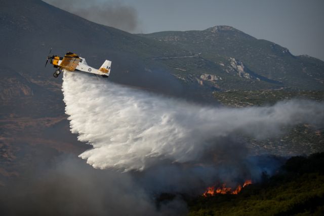 Πυρκαγιές: Υπό μερικό έλεγχο οι φωτιές σε Κάρυστο και Πύλο – 31 δασικές πυρκαγιές το τελευταίο 24ωρο
