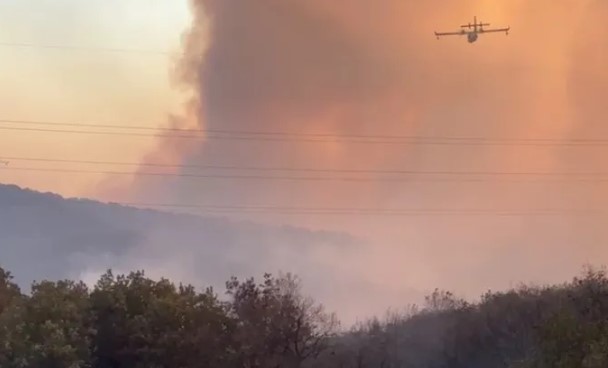 Φωτιά στην Αλεξανδρούπολη: Πλησιάζουν τη Δαδιά οι φλόγες – «Χιονίζει» στάχτη στο κέντρο της πόλης – Ήχησε το 112