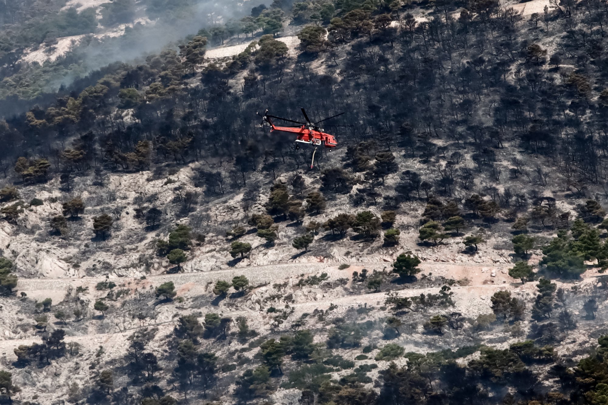 Πυρκαγιά στην Πάρνηθα: Κάηκαν 64.330 στρέμματα – Αποκαρδιωτικά τα στοιχεία για τις φωτιές