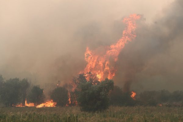 Σε ποιες περιοχές υπάρχει πολύ υψηλός κίνδυνος πυρκαγιάς την Τετάρτη