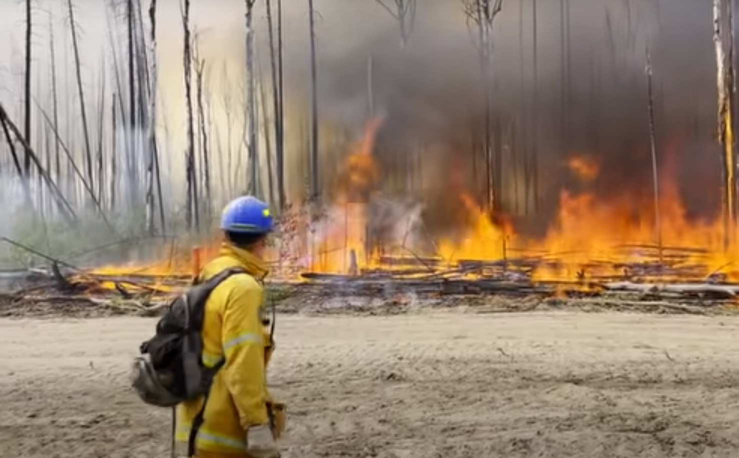 Κλιματική αλλαγή: Δασικές πυρκαγιές πλήττουν Βολιβία και Καναδά
