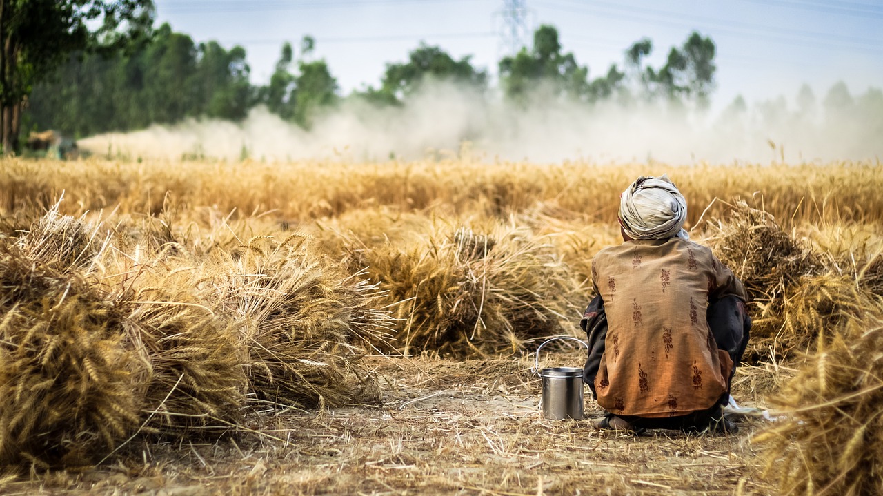 Πληθωρισμός τροφίμων: Ρωσία, Ινδία και Ελ Νίνιο φέρνουν αυξήσεις φωτιά