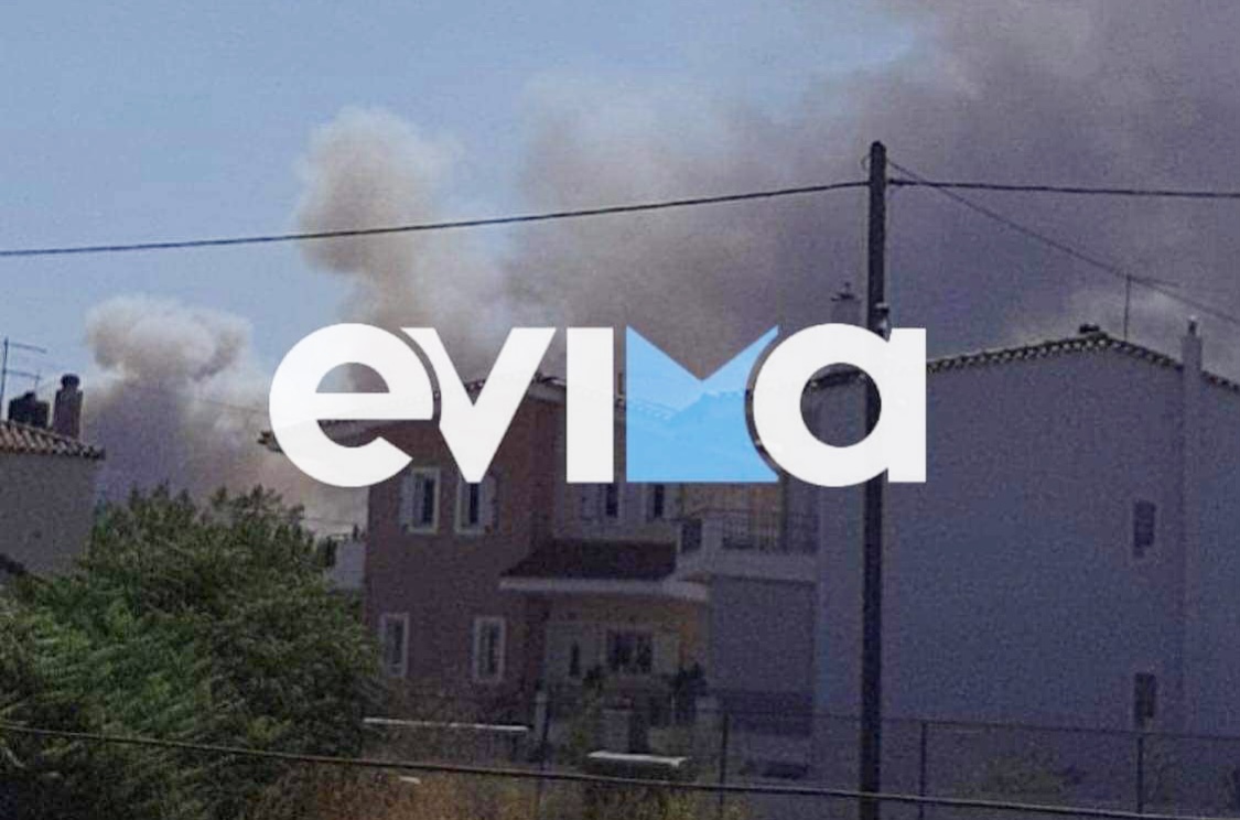 Πυρκαγιές: Μεγαλώνει το πύρινο μέτωπο στα Ψαχνά Ευβοίας: Επιχειρούν τέσσερα αεροσκάφη