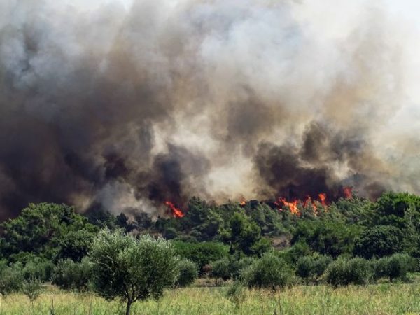 Wildfires in Greece: Prison even for negligent arson – Steep fines