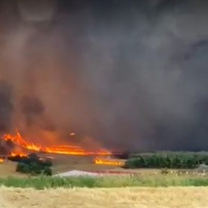 Φωτιά στην Αλεξανδρούπολη: Μάχη σε τρία μέτωπα – Ενισχύονται οι δυνάμεις – Προβληματίζουν άνεμοι και αναζωπυρώσεις