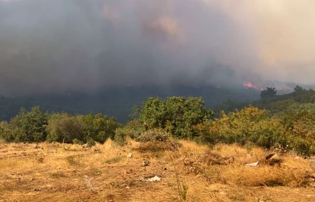 Μαίνεται η φωτιά στην Αλεξανδρούπολη – Μήνυμα του 112, εκκενώνονται 3 περιοχές