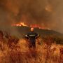 Δασικές πυρκαγιές: 4 δισεκατομμύρια στρέμματα δασών έγιναν στάχτη το 2023