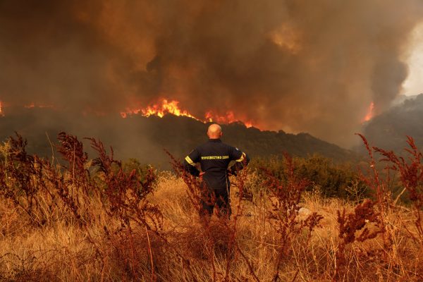 Δασικές πυρκαγιές: 4 δισεκατομμύρια στρέμματα δασών έγιναν στάχτη το 2023