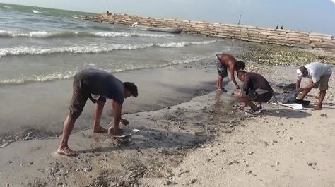 Μεξικό: Πετρέλαιο που διέρρευσε στον Κόλπο έφθασε σε παραλίες