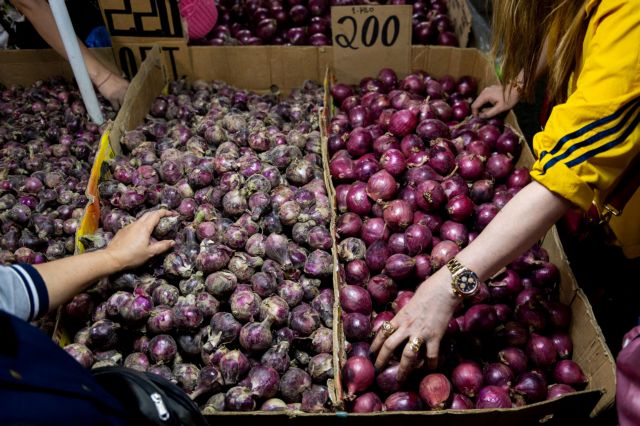 India: Imposes 40% Duty on Onion Exports – Aims to Increase Domestic Availability – Economy Mail
