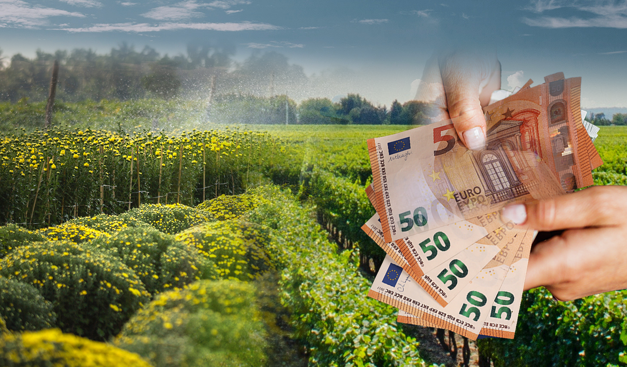 Αγρότες: Πώς θα κατανεμηθούν 174 εκατ. ευρώ – Οι δικαιούχοι