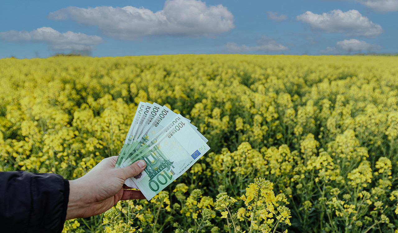 ΟΣΔΕ: Ποιες καλλιέργειες δηλώνονται για ενίσχυση – Η «γη υπό αγρανάπαυση»